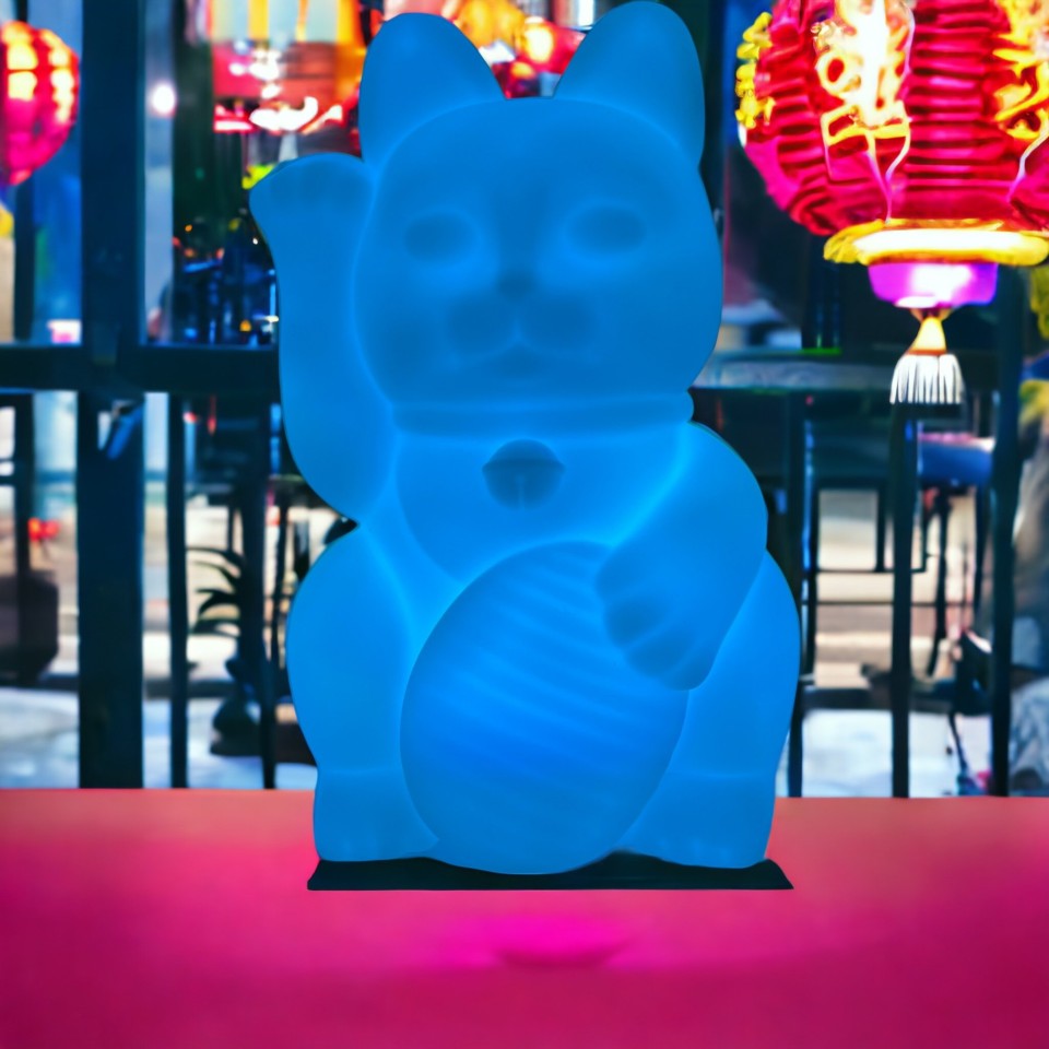 Squishy Colour Changing Lucky Cat Light