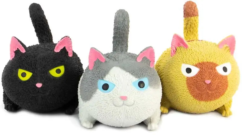 Squidgy Cat X 1 Random Design